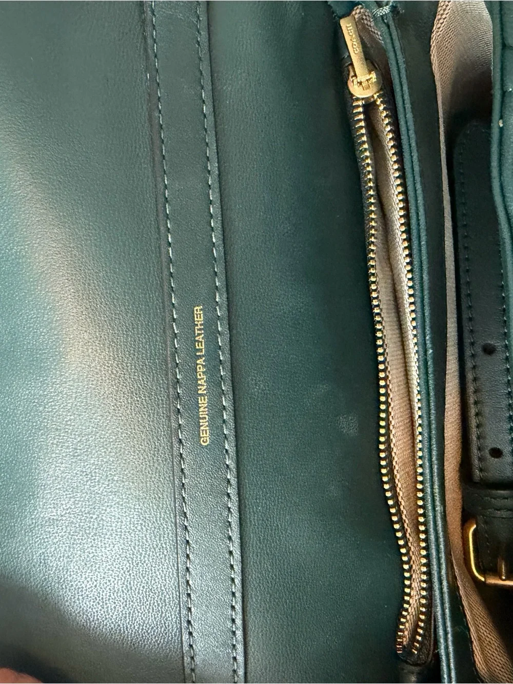 Coach Time Square Tabby Bag in Dark Green with Gold Hardware